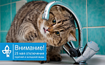 Отключение воды 25 мая 2017 года